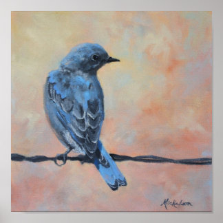 Mountain Bluebird Kunstdruckerei Poster