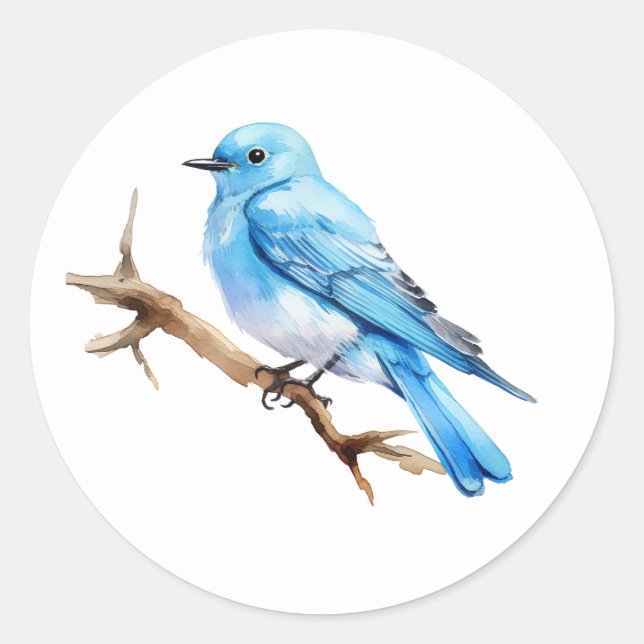 Mountain Bluebird Runder Aufkleber (Vorderseite)
