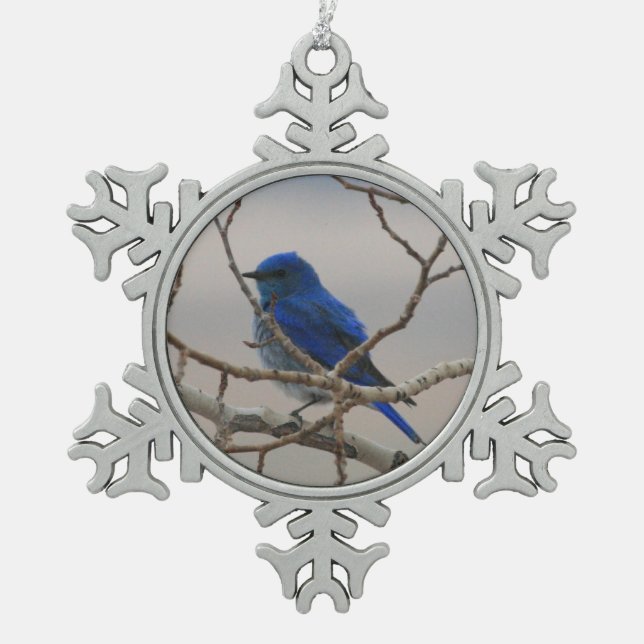 Mountain Bluebird Schneeflocken Zinn-Ornament (Vorderseite)