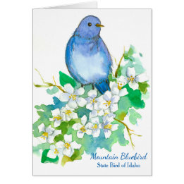 Mountain Bluebird Staat Bird of Idaho Blank