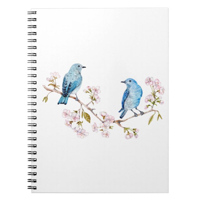 Mountain Bluebirds auf der Zweigstelle Sakura Notizblock (Vorderseite)