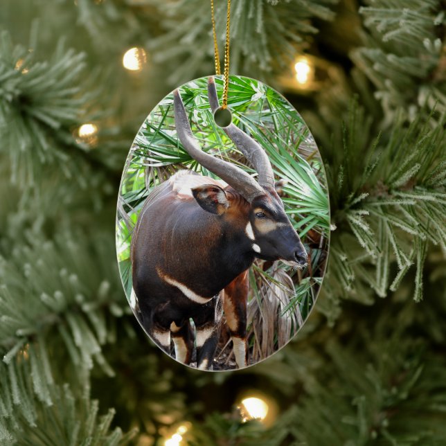 Mountain Bongo Antelope Keramik Ornament (Baum)