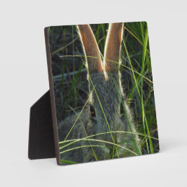 Mountain Cottontail Desktop Plaque Fotoplatte