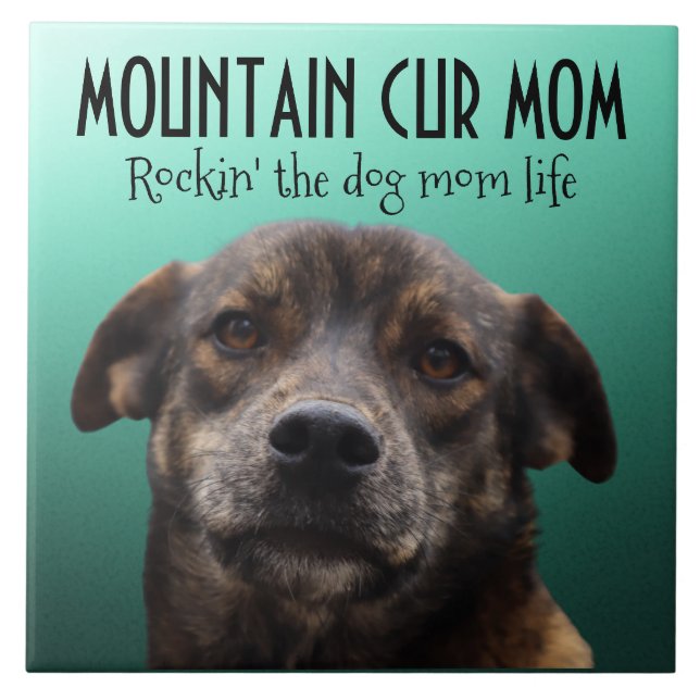 Mountain Cur Mama Keramik Fliese (Vorderseite)