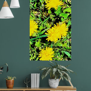 Mountain Dandelions Foto aus Ottawa Kanada Poster