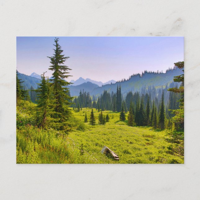 Mountain & Forest Landschaft Washington Staat Postkarte (Vorderseite)