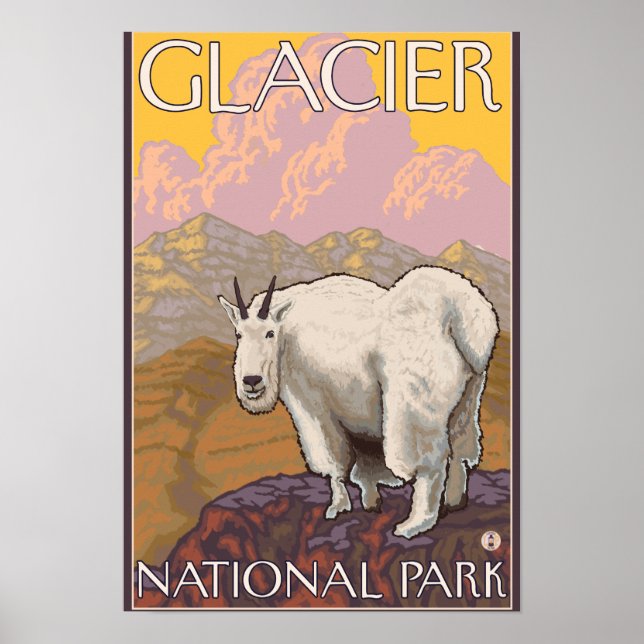 Mountain Goat - Glacier National Park, MT Poster (Vorne)