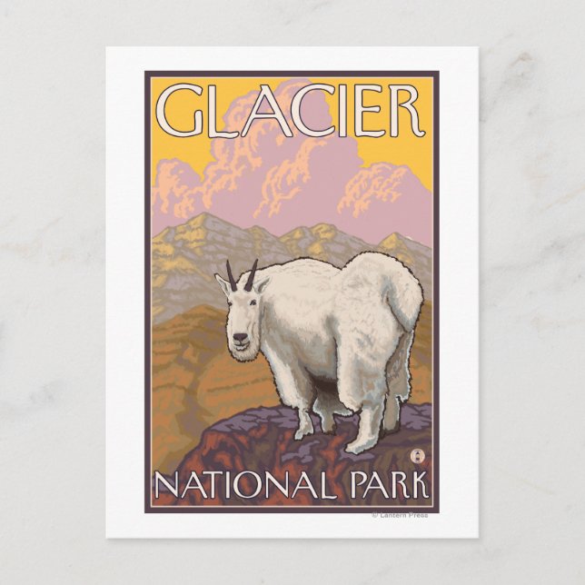 Mountain Goat - Glacier National Park, MT Postkarte (Vorderseite)