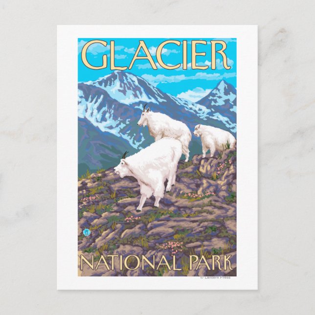 Mountain Goats Scene - Glacier National Park, Postkarte (Vorderseite)