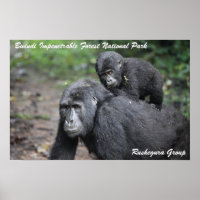 Mountain Gorilla/ Mutter & Baby