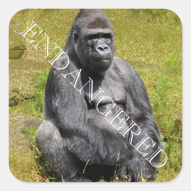 Mountain Gorilla Sticker (Vorderseite)