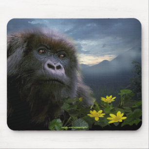 Mountain Gorilla Wildlife-Fan Mousepad