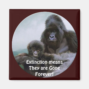 Mountain Gorillas Primat Wilhelm Tell Magnet