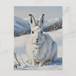 Mountain Hare in Schottland Travel Postkarte