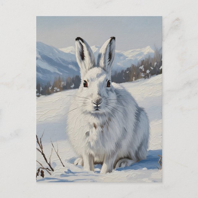 Mountain Hare in Schottland Travel Postkarte (Vorderseite)
