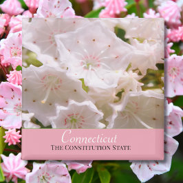 Mountain Laurel Connecticut Staat Blume Magnet