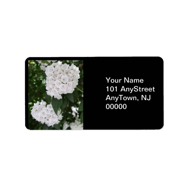 Mountain Laurel Floral Wedding (Vorne)