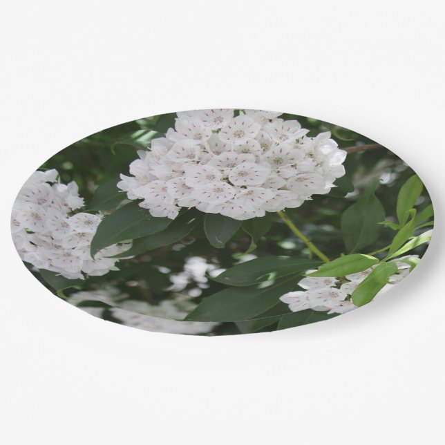 Mountain Laurel White Blume Pappteller (Schrägansicht)