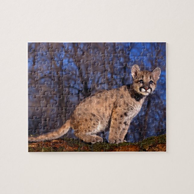 Mountain Lion Cub Puzzle (Horizontal)