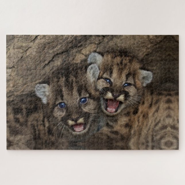 Mountain Lion Cubs (Horizontal)