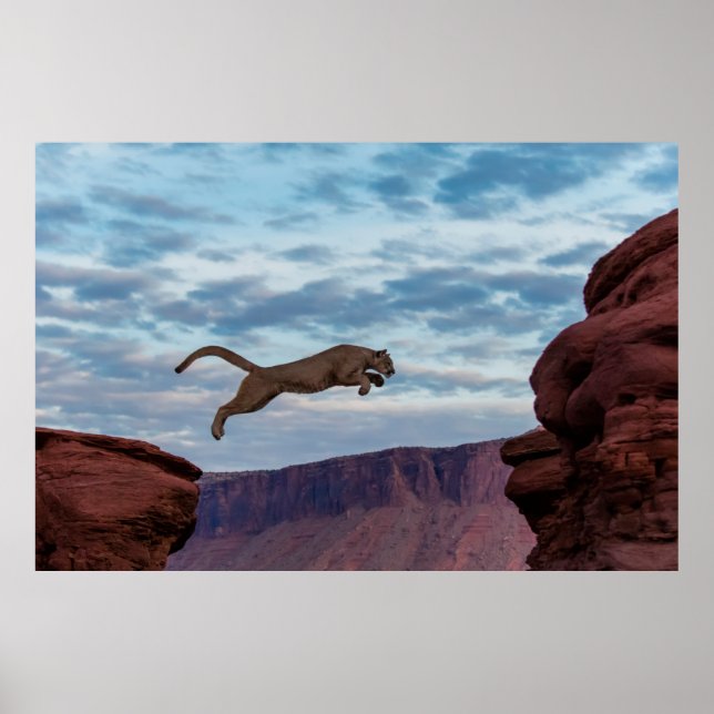 Mountain Lion Jumping Morning Skysprung, Löwe, Tie Poster (Vorne)