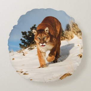 Mountain Lion on snowy hill Rundes Kissen