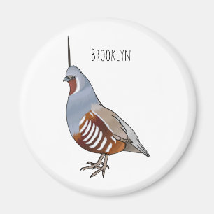 Mountain quail bird cartoon illustration  magnet