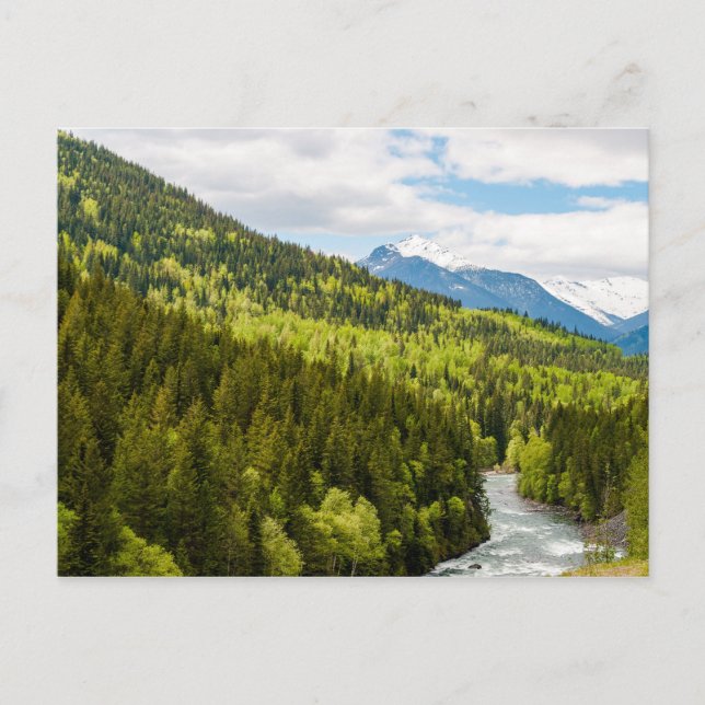 Mountain River im Wald von British Columbia Postkarte (Vorderseite)