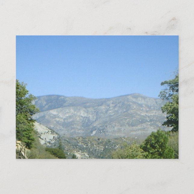 Mountain View Postkarte! Postkarte (Vorderseite)