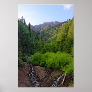 Mountainside Stream Print Poster