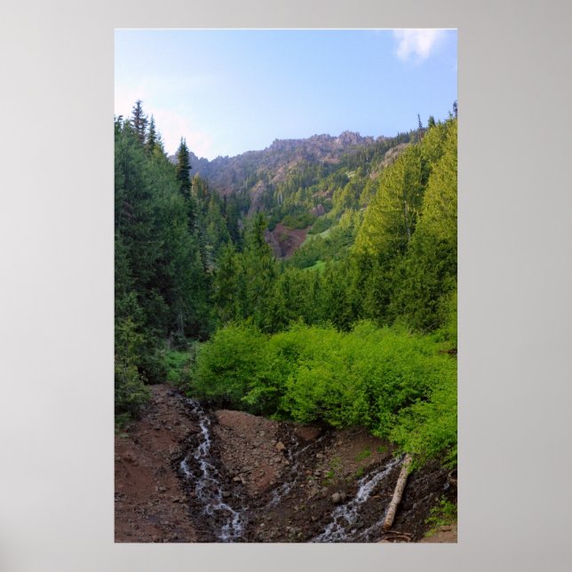 Mountainside Stream Print Poster (Vorne)