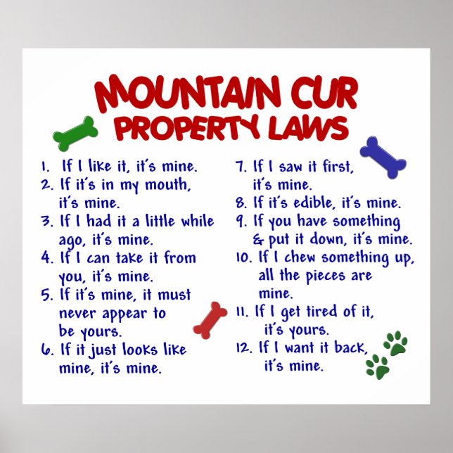 MOUNTAN CUR PL2 POSTER (Vorne)