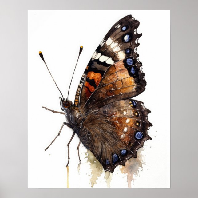 Mourning Cloak Butterfly Art Print Poster (Vorne)