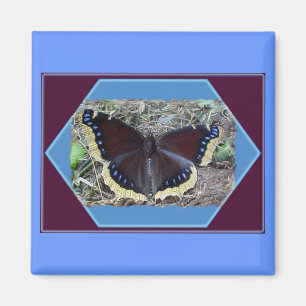 Mourning Cloak Butterfly Magnet