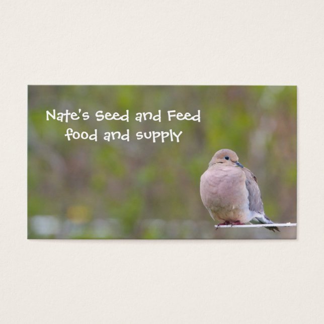 Mourning Dove (Vorderseite)