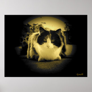 Mouse-Augenansicht Poster