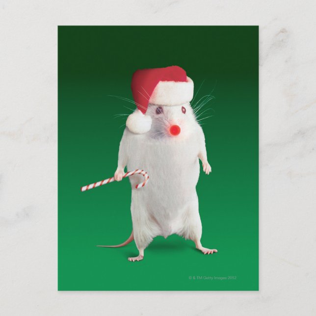 Mouse dressed as Santa Claus Feiertagspostkarte (Vorderseite)