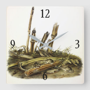 Mouse oder Maus mit geringer Ernte Quadratische Wanduhr