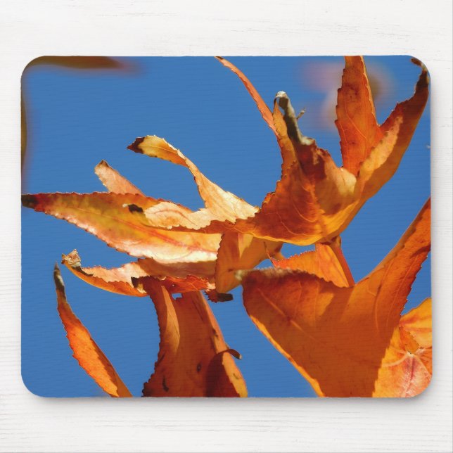 Mouse Pad im Herbst Mousepad (Vorne)