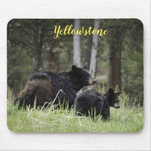 Mouse Pad-Yellowstone-Bär Mousepad