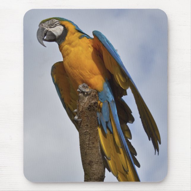 Mousemat Mousepad (Vorne)