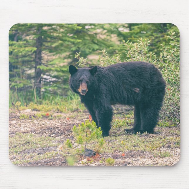Mousepad (Vorne)