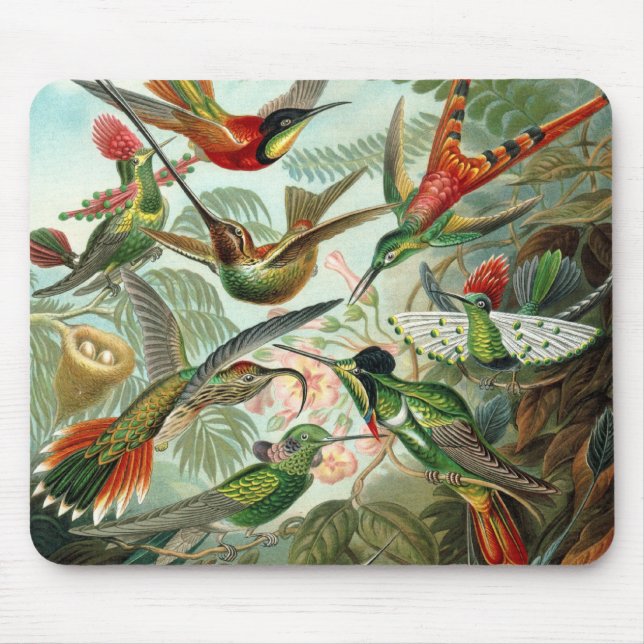 Mousepad (Vorne)