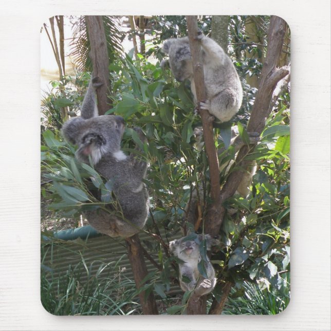 Mousepad Adoptierte A Koala Australien (Vorne)
