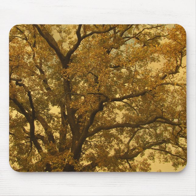 Mousepad Autumn Massive Tree Yellow (Vorne)
