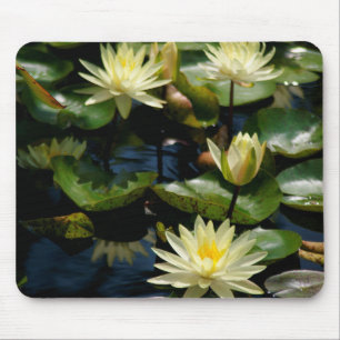 Mousepad der weißen Wasserlilie