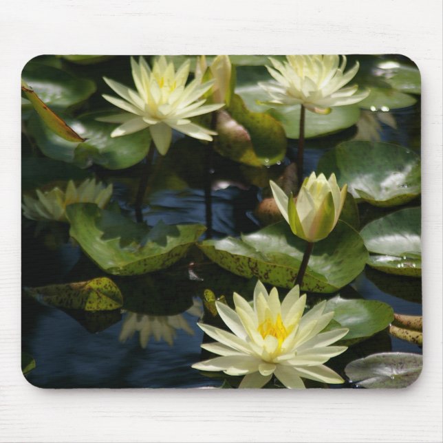 Mousepad der weißen Wasserlilie (Vorne)