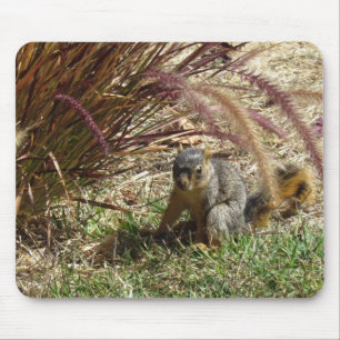 Mousepad - Eichhörnchen im Gras