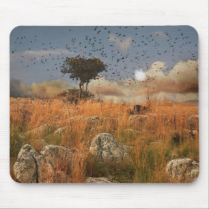 Mousepad einsame Bäume und Vögel