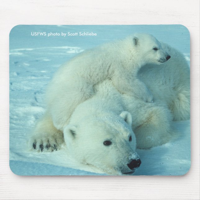 Mousepad/Eisbär u. CUB Mousepad (Vorne)